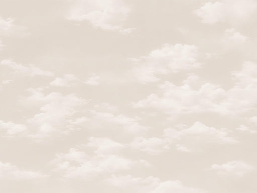 Cloud Mural Wallpaper | Brushed Beige
