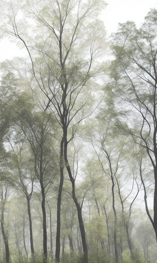 Tree Mural Wallpaper | Lush Green Foliage Forest