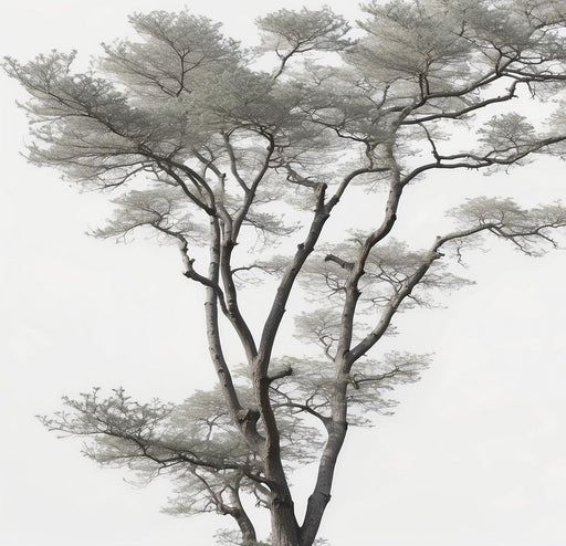 Tree Mural Wallpaper | Realistic in Black and White