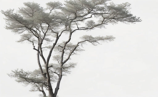 Tree Mural Wallpaper | Realistic in Black and White