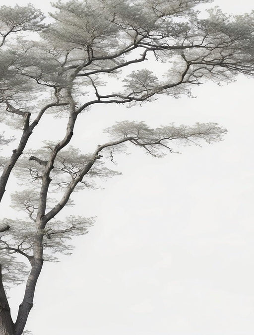 Tree Mural Wallpaper | Realistic in Black and White