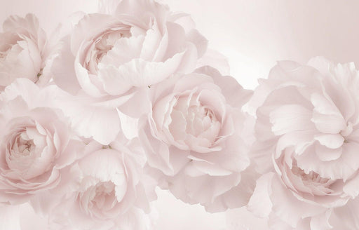 Large Flower Mural Wallpaper | Roses