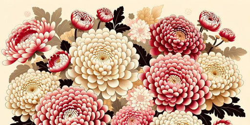 Japanese Flower Mural Wallpaper | Large Pink and White Chrysanthemum Flowers