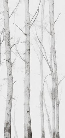 Birch Mural Wallpaper | Subtly Toned Forest