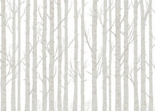 Birch Mural Wallpaper | Illustration of a Neutral Birch Forest