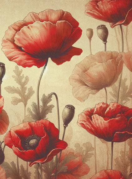 Poppy Mural Wallpaper | Red Flowers with Vintage Background