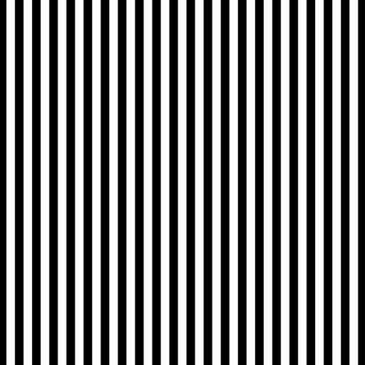 Striped Mural Wallpaper | Black and White Vertical