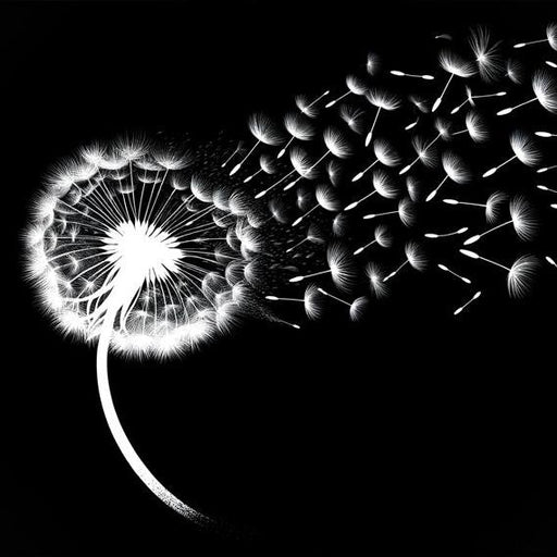 Dandelion Mural Wallpaper | Flight of White Seeds on Black Background