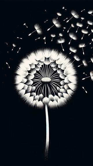 Dandelion Mural Wallpaper | Flight of Seeds in Black and White Sketch