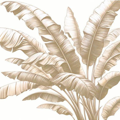 Beige Foliage Mural Wallpaper | Vintage Style Banana Leaf Bouquet