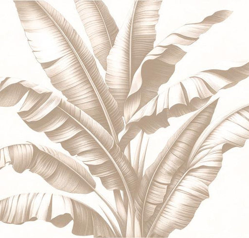 Beige Foliage Mural Wallpaper | Light Background Banana Leaf Lineage
