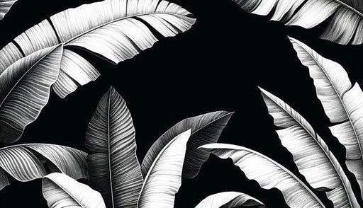 Black and White Foliage Mural Wallpaper | Random Banana Leaf Patterns