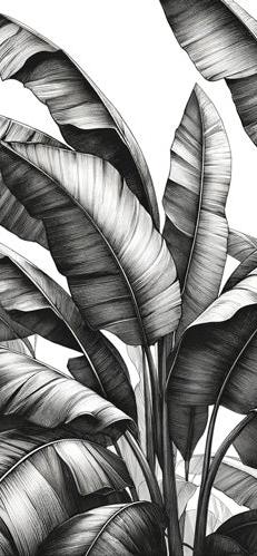 Black and White Foliage Mural Wallpaper | Vintage and Aged Banana Leaf Style