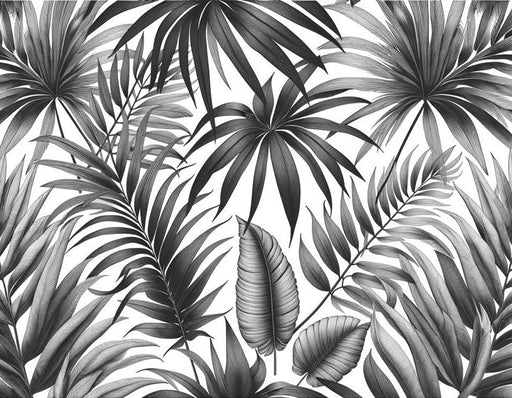 Black and White Foliage Mural Wallpaper | White Background Palm Leaf Panorama