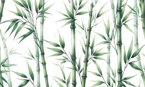 Bamboo Mural Wallpaper | Artistic Green Bamboo Stems on White Background