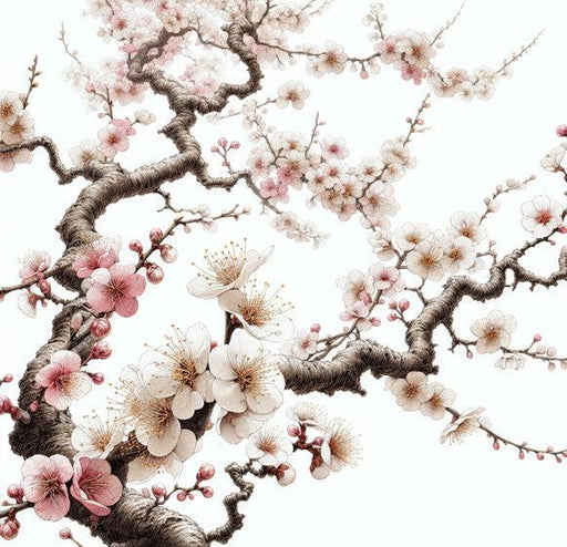 Japanese Cherry Blossom Mural Wallpaper | White Background with Open White Cherry Blossoms