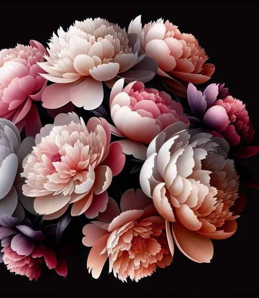 Peony Mural Wallpaper | White, Pink, and Purple Flowers on Black Background