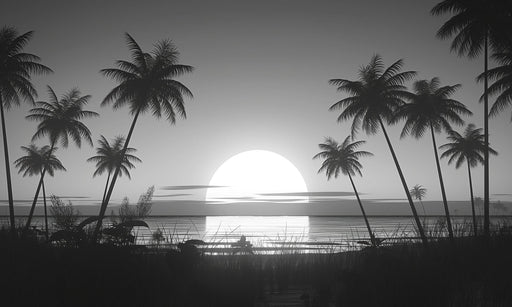 Sunset Wallpaper | Palm Tree and Black and White Monochrome