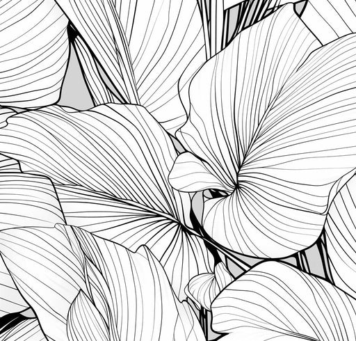 Tropical Flower Mural Wallpaper | Black and White
