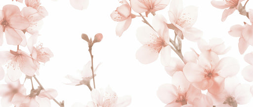 Japanese Wallpaper | Cherry Blossom Buds and Flowers