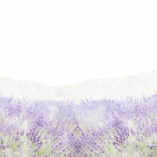Lavender Wallpaper | Lavender Field