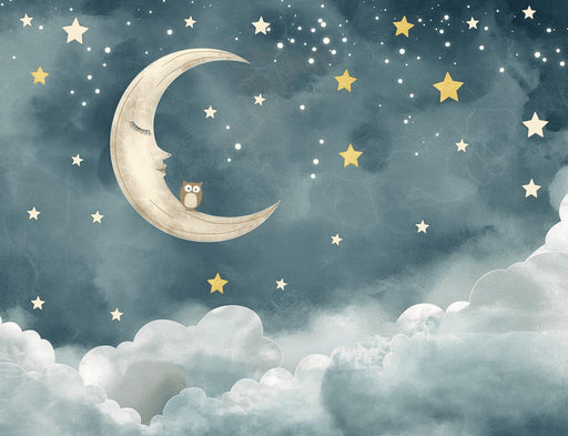 Moon Mural Wallpaper | Kids Room