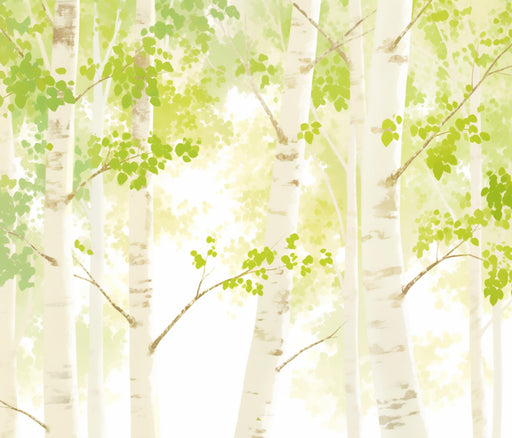Nature Wallpaper | Birch Forest