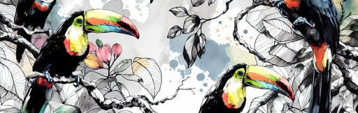 Black and White Mural Wallpaper | Multi-Colored Toucans in Watercolor