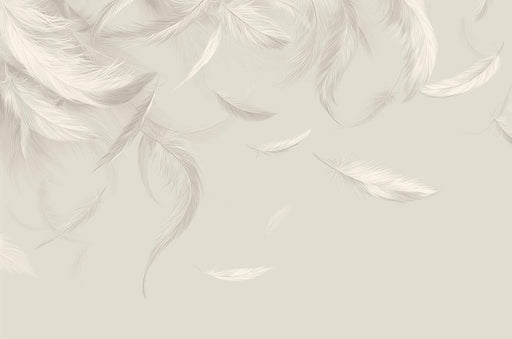 Feather Mural Wallpaper | White and Beige