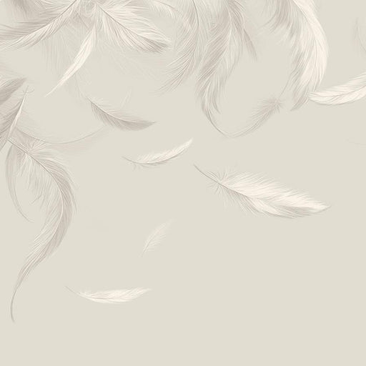 Feather Mural Wallpaper | White and Beige
