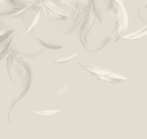 Feather Mural Wallpaper | White and Beige