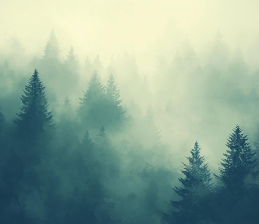 Pine Tree Mural Wallpaper | Mysterious Forest
