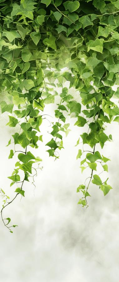 Headboard Mural Wallpaper | Under the Leaves