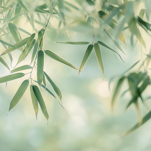 Zen Wallpaper | Bamboo Leaves