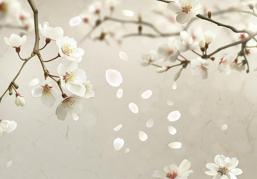 Zen Wallpaper | White Cherry Blossoms