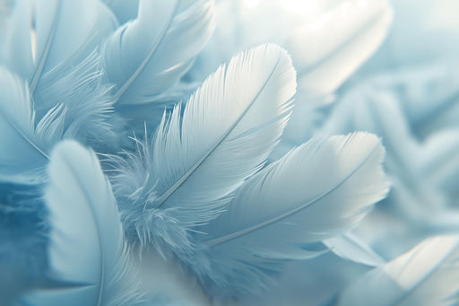 Zen Wallpaper | White and Blue Feathers
