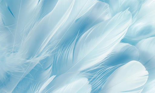 Zen Wallpaper | Feng Shui Feathers
