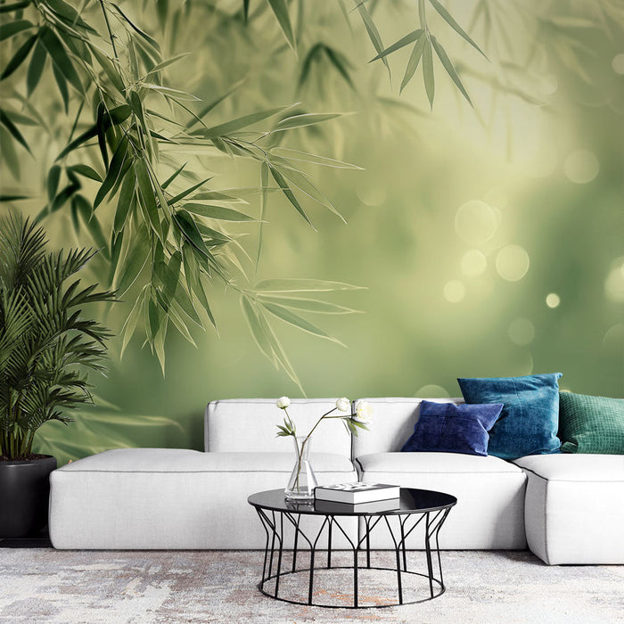 Zen Wallpaper | Bamboo in the Morning Light