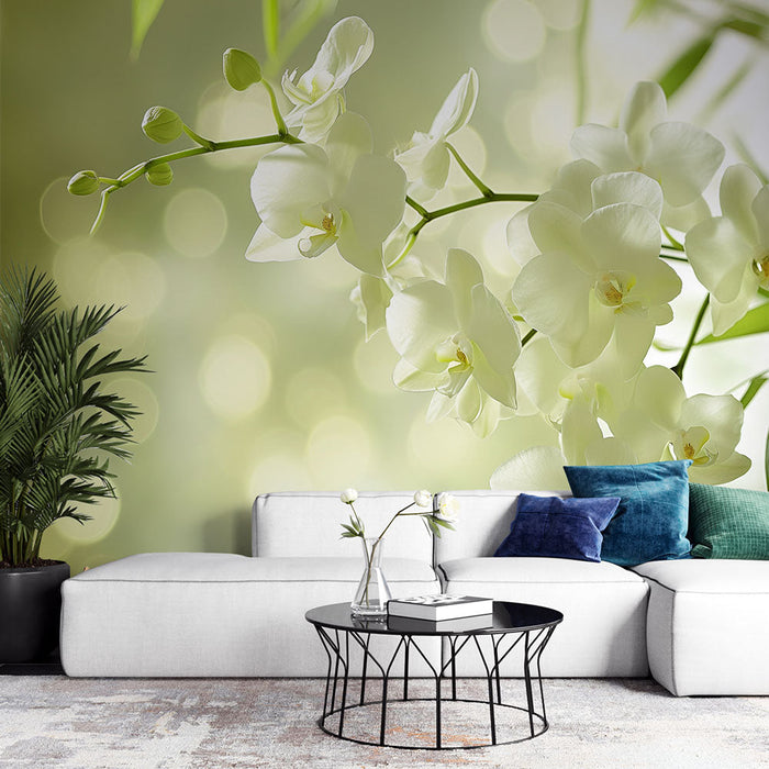 Zen Mural Wallpaper | Orchid Buttons and Flowers