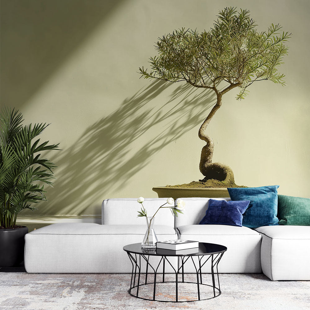 Fototapete Bonsai | Baum Zen Garten Schwarz Wei Modern  WonderMural