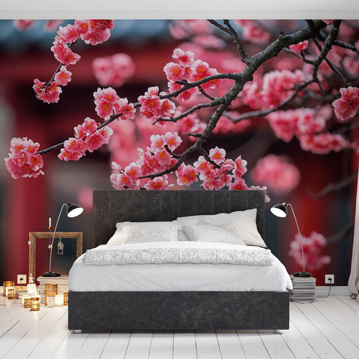 Mural Wallpaper cherry blossom | Spring Radiance