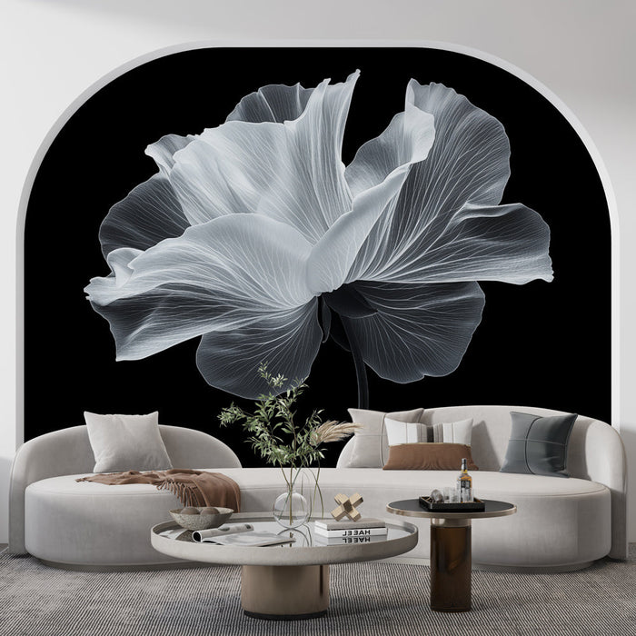 Tapetti kukallinen | Valkoinen kukka mustalla taustalla