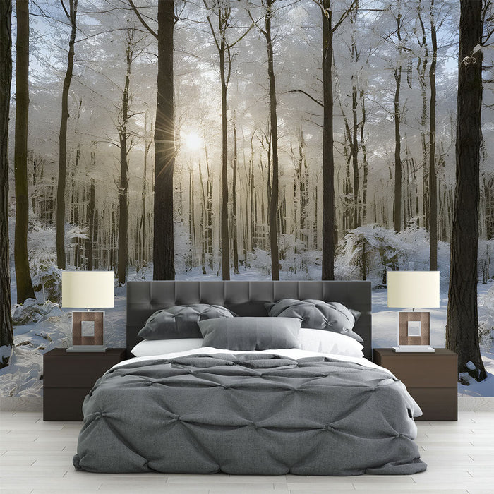 Fototapet snødekket skog | Lys vinterlandskap