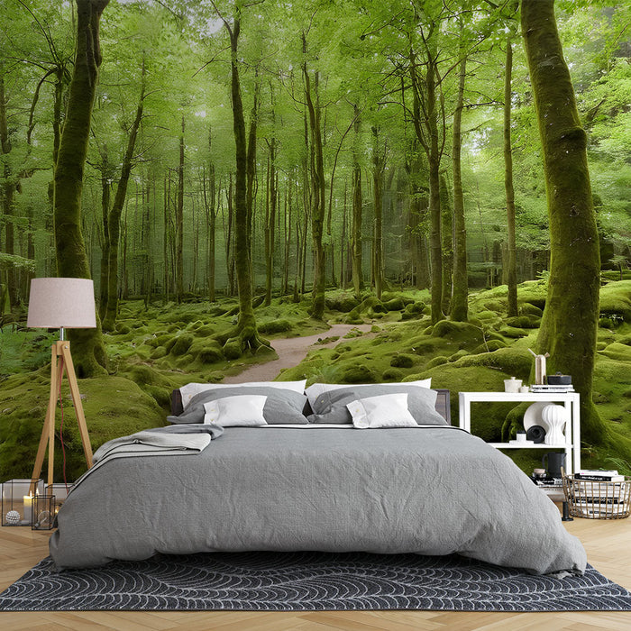 Mural Wallpaper Enchanted Forest | Lush and Mystical Landscape