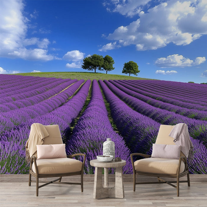 Muraaltapeet lavendel | Lavendliväli sinise taeva all