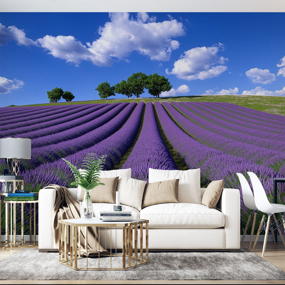 Papel de parede campo de lavanda | Panorama de flores na Provença —  WonderMural, image size:1000x1000