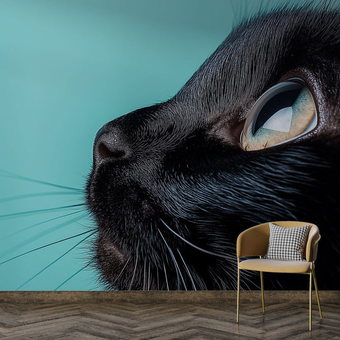 Carta da parati animale | Profilo elegante di un gatto nero su sfondo turchese