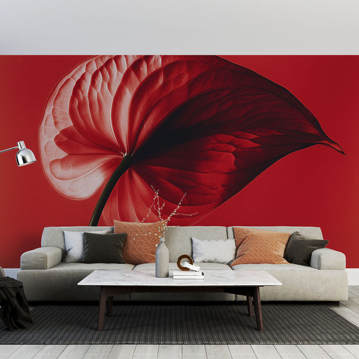 Fototapet Red Anthurium | Blomster Elegance på Monokrom Baggrund