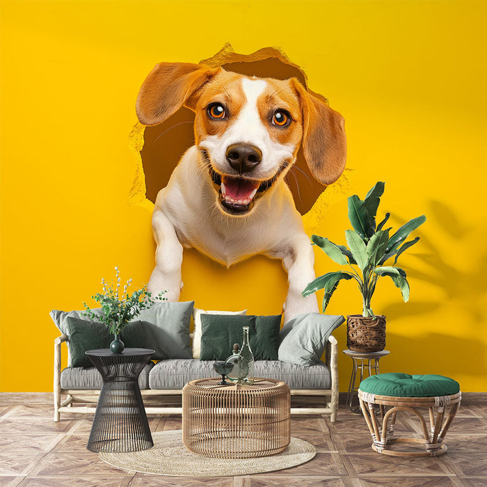 Mural Wallpaper beagle | 3D kommer ut av veggen