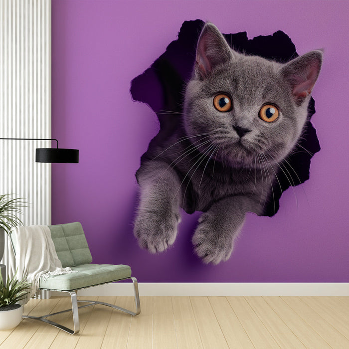 Mural Wallpaper british shorthair | 3D coming out of the wall